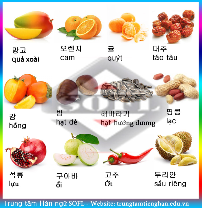 Từ vựng tiếng Hàn Quốc Từ vựng tiếng Hàn Quốc