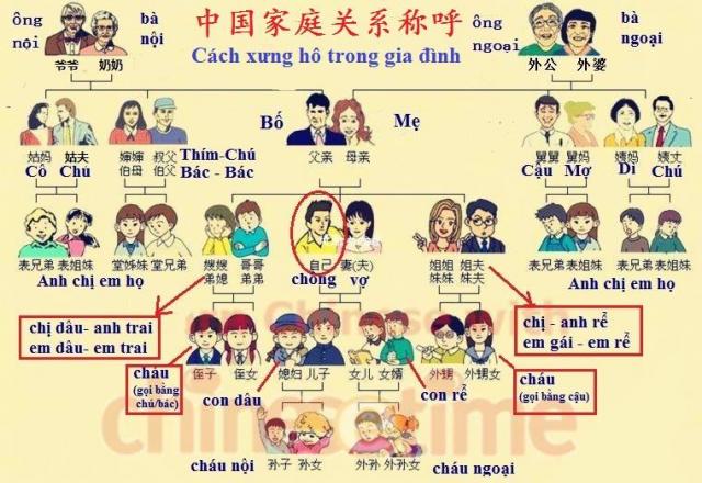 Từ vựng tiếng Hàn Quốc - Vai trò “xương sống” của câu