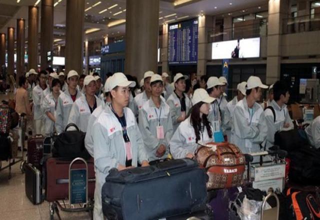 Những ngành nghề đi xuất khẩu lao động tại Hàn Quốc