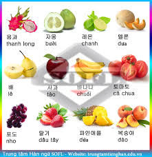Hoa quả tiếng Hàn