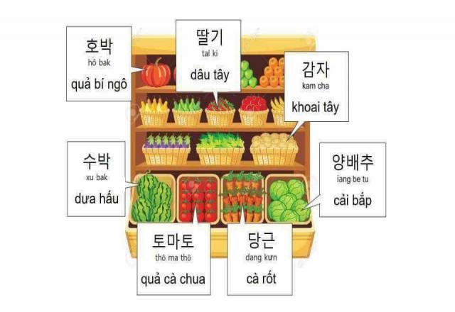 Tăng cường học tiếng hàn với 5 cách học từ vựng tiếng hàn thú vị