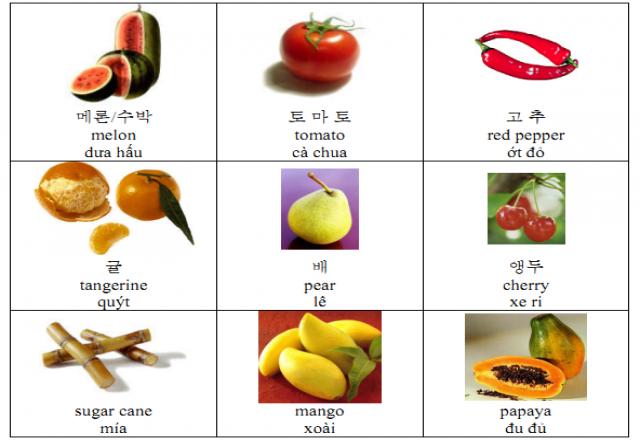 Mách nhỏ bạn 6 phương pháp học tiếng hàn hiệu quả nhanh thần tốc