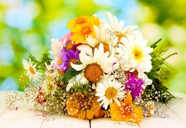 Từ vựng tiếng Hàn về các loài hoa