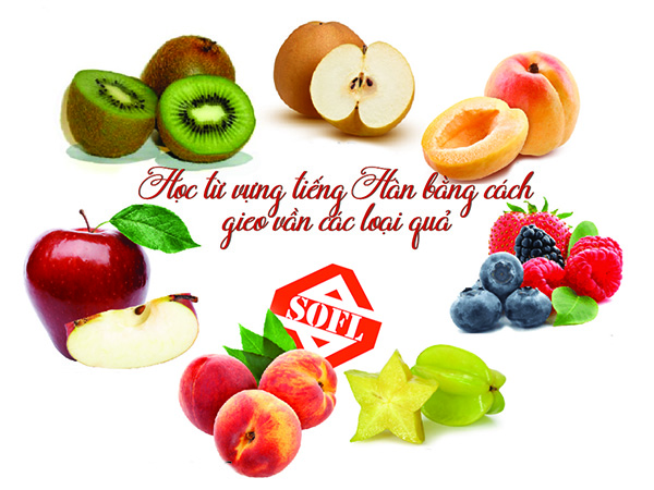 tu vung tieng han cac loai qua