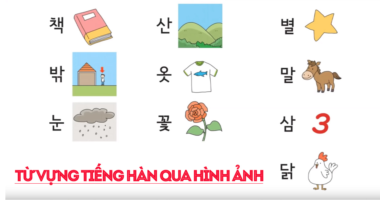 hoc tu vung tieng han qua hinh anh