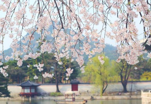Du học sinh Hàn Quốc nói gì về thủ đô Seoul